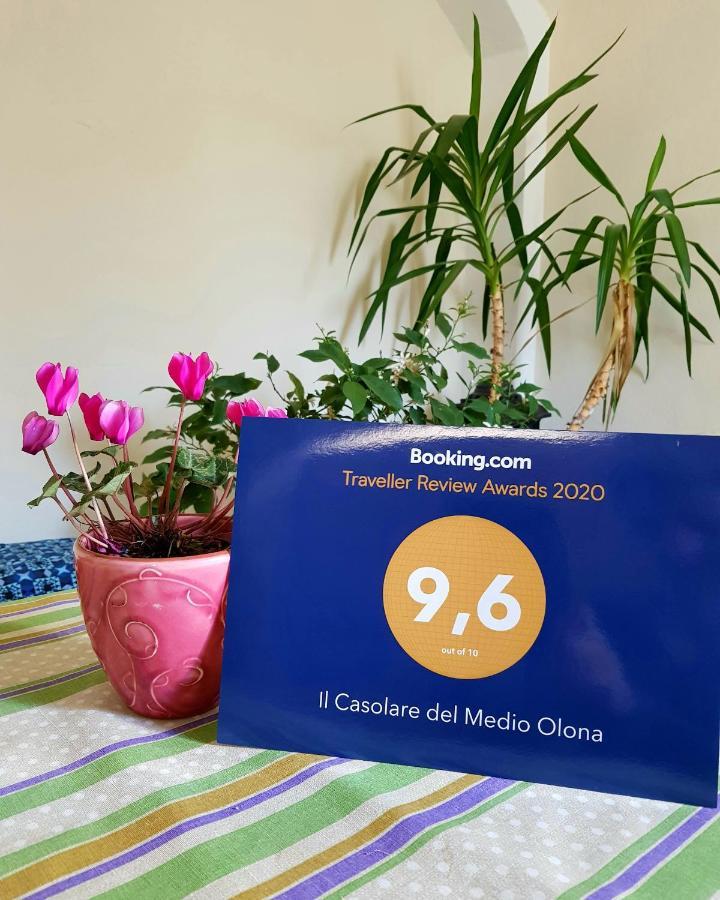 مبيت وإفطار Fagnano Olona Il Casolare Del Medio Olona المظهر الخارجي الصورة