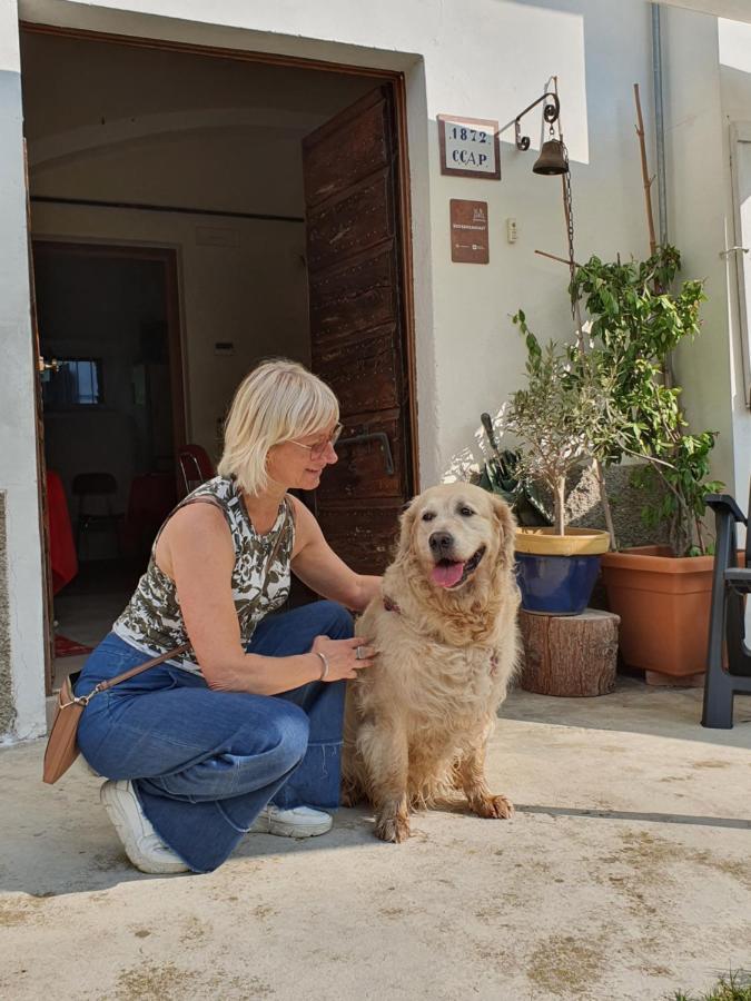 مبيت وإفطار Fagnano Olona Il Casolare Del Medio Olona المظهر الخارجي الصورة
